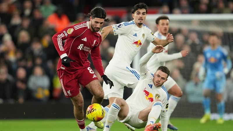 并以可量化 并以可量化